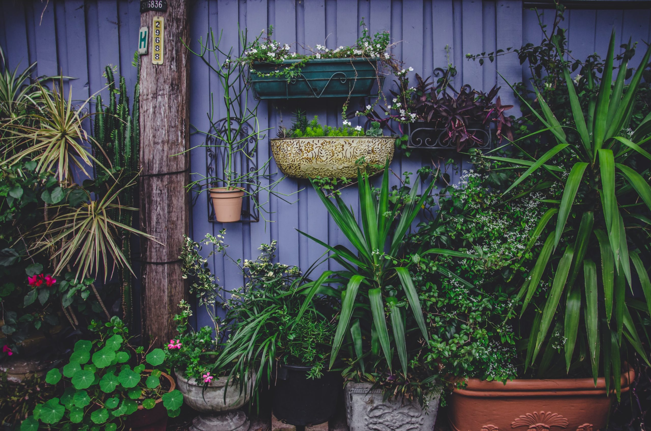 Garten mal anders diese Gartenideen kennst du noch nicht