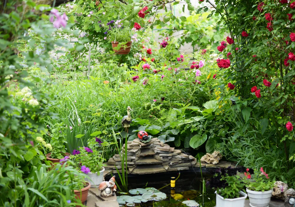 Naturnaher insektenfreundlicher Garten mit Teich, Pflanzenvielfalt und blühenden Rosen