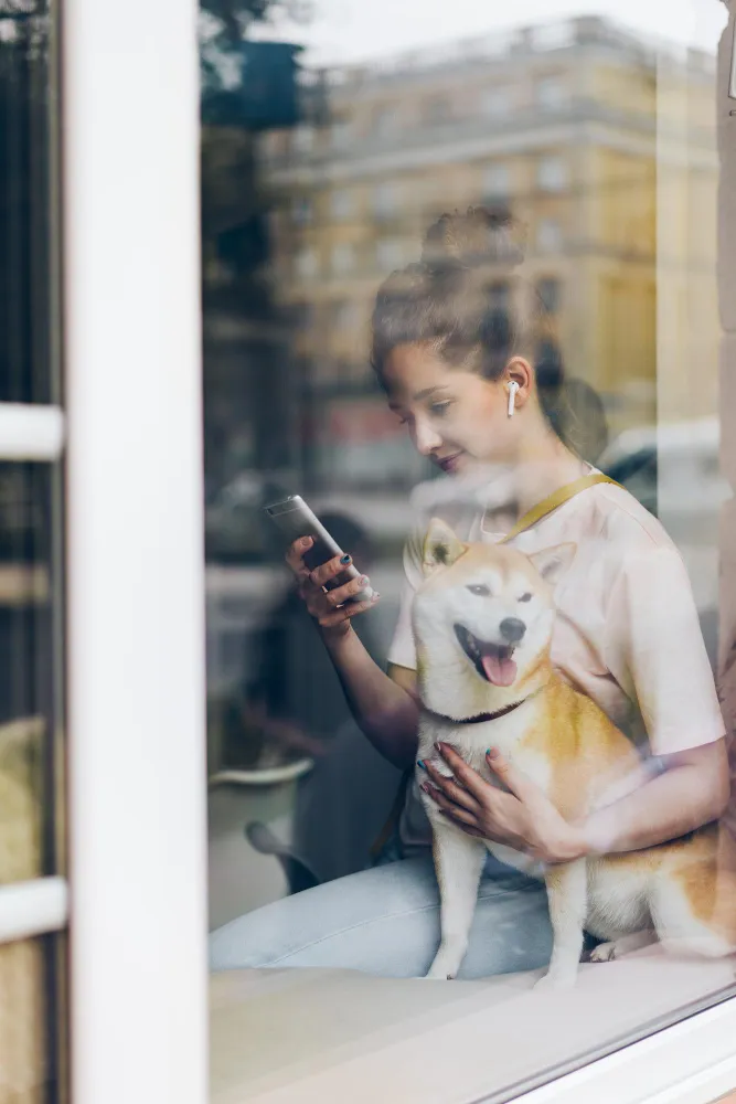 Hunde gehören für viele Menschen längst zum Alltag